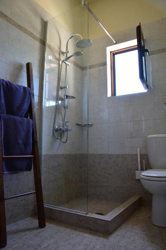 a bathroom with a glass shower with a toilet at Elianthos Villas in Vamos