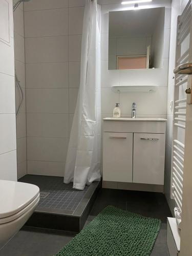 バート・ウーラッハにあるLived-in Appartementの洗面台、トイレ、鏡のあるバスルーム