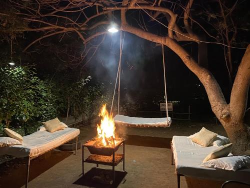 Imagen de la galería de Asiatic Lion Lodge, en Sasan Gir