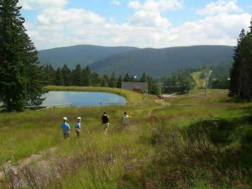 a group of people standing in a field near a lake at Appartement Rozika in Slovenj Gradec