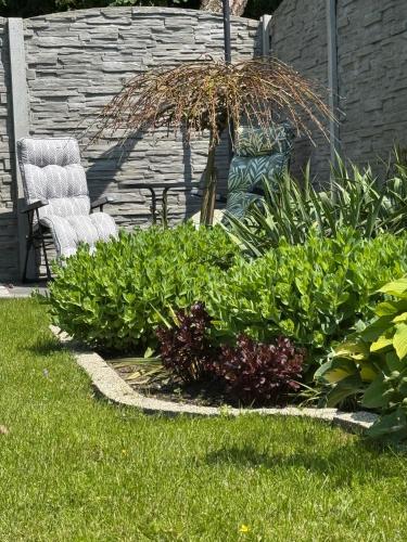 a garden with a chair and some plants at Domki u Piotrusia in Żarnowska
