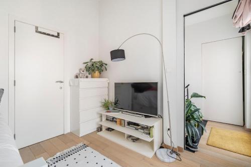 Televisyen dan/atau pusat hiburan di Beautiful loft with terrace - Midi station - Flix