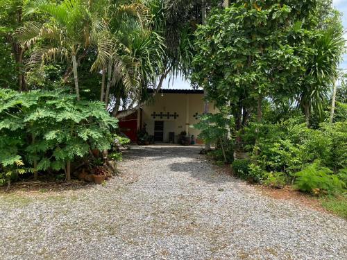 a walkway leading to a building with palm trees at Rosemary Rayong in Ban Na