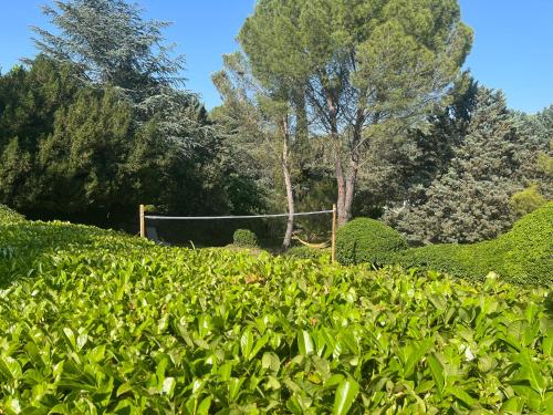 a field of hedge with a soccer goal in the background at Bastide en Provence in Auriol
