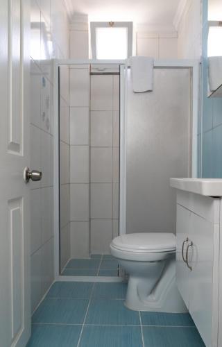 a white bathroom with a toilet and a shower at Çağlar my hause apart otel in Turgutreis