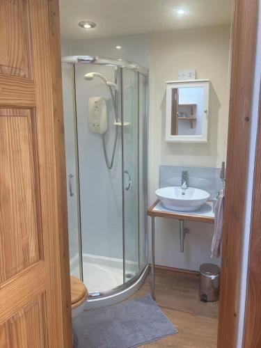 a bathroom with a shower and a sink at Holly cottage in Stoke Rivers