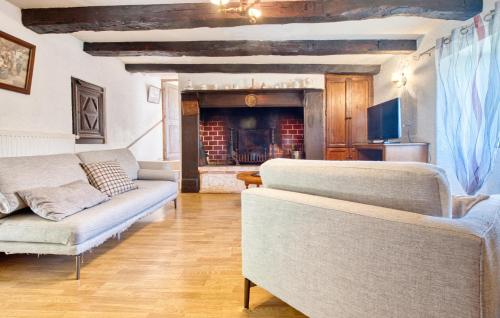 a living room with two couches and a fireplace at Stunning Home In Plazac With Wifi in Plazac