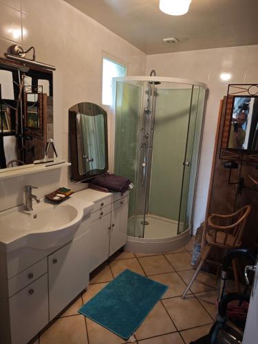 a bathroom with a shower and a sink and a mirror at Golf&Love in Normandy in Sainte-Opportune-du-Bosc
