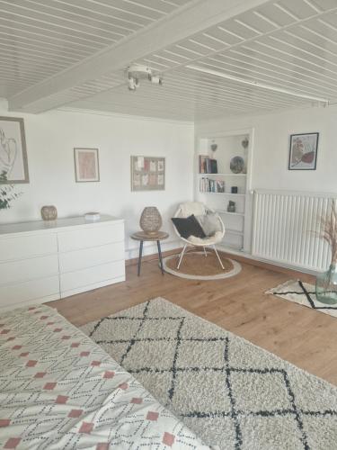 a living room with a chair and a rug at Petite maison chaleureuse in Leuze-en-Hainaut