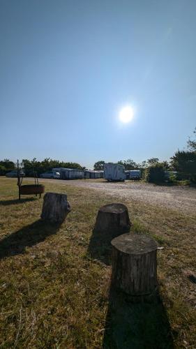 two tree stumps sitting in a field with a bench at Henneby Camping - hytter in Henne Strand