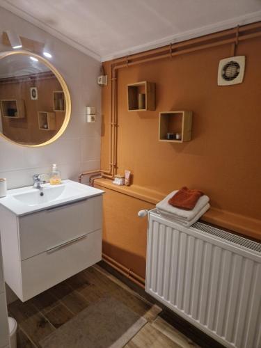 a bathroom with a sink and a mirror at Petite maison chaleureuse in Leuze-en-Hainaut