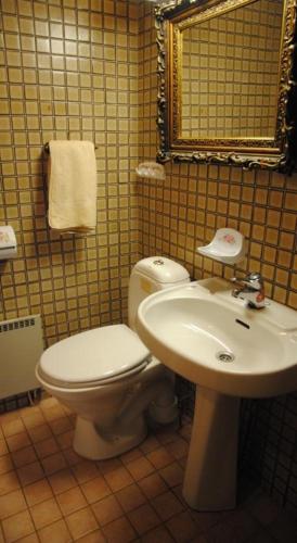a bathroom with a toilet and a sink at Hotel Villa Antonius in Naantali