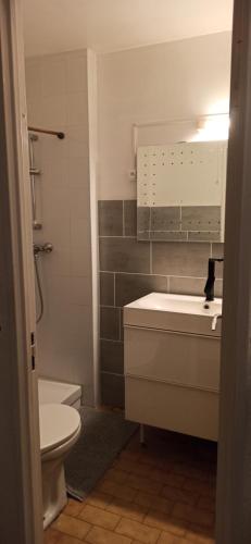 Un baño pequeño con inodoro y lavabo. en Studio cosy avec vue exceptionnelle sur l'étang de Thau, en Balaruc-les-Bains