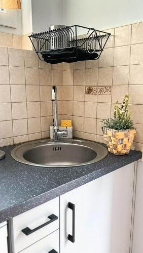 a kitchen counter with a sink and a plant at Apartamenty Tercet, Apartament Kwartet, Apartament DUO in Ustka