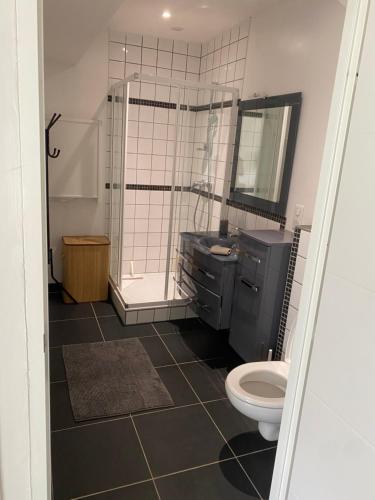 une salle de bain avec toilettes, douche et lavabo dans l'établissement Maisonnette climatisée avec piscine et plage à 6mn, à Labenne
