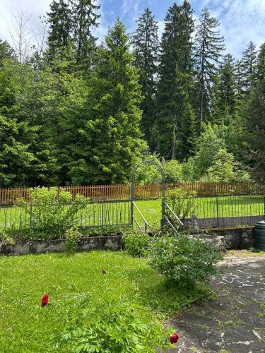 a fence in a yard with red flowers in the grass at Residenza le due Rose in Ronzone
