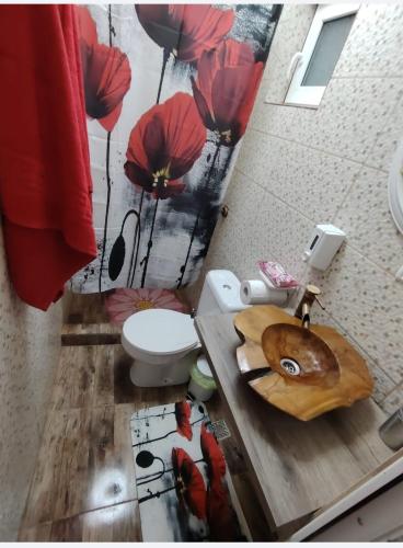 a bathroom with a toilet and a sink with red flowers at Taram de Poveste in Corbu