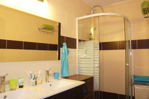 a bathroom with a sink and a shower at La Réunion des voyages in Saint-Pierre