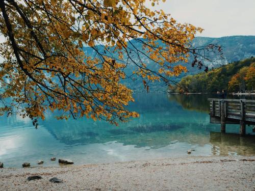 a view of a lake with a wooden pier at Boutique Hotel Sunrose 7 - Gourmet & SPA in Bohinj
