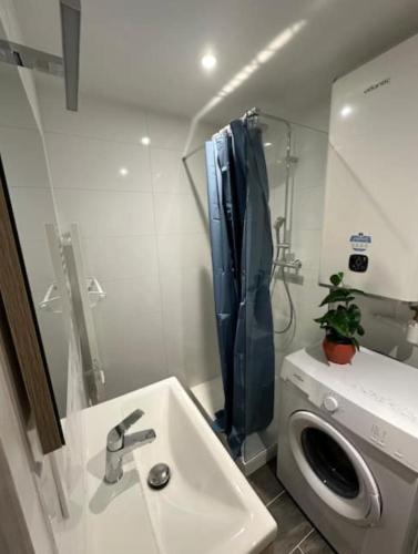 une salle de bain avec un lavabo et une machine à laver dans l'établissement Charmant studio équipé, à Oullins