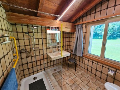 une petite salle de bain avec un lavabo et un miroir dans l'établissement Apartment in Brienz, à Brienz