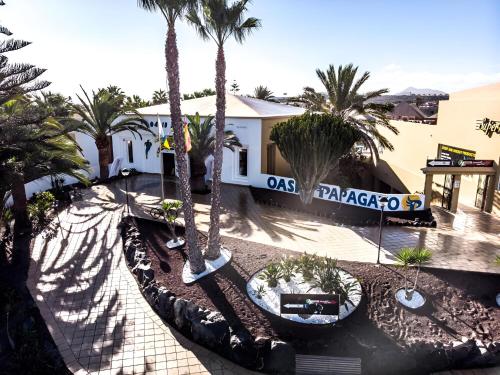 BLU Papagayo