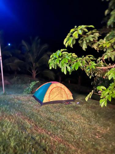 Gallery image of Adoko Farms Eco Resort in Dewu Asaman