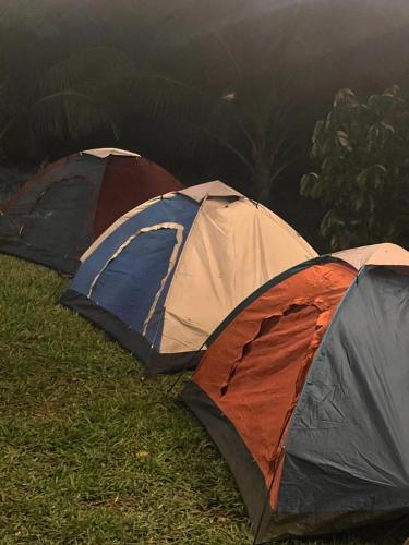 Gallery image of Adoko Farms Eco Resort in Dewu Asaman