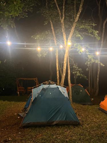 ein Zelt auf dem Boden neben einem Baum in der Nacht in der Unterkunft Adoko Farms Eco Resort in Dewu Asaman
