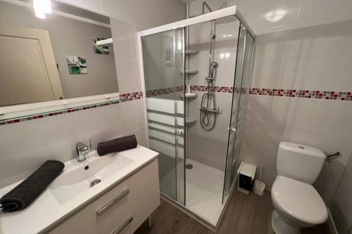 a bathroom with a shower and a toilet and a sink at Résidence Dalma - Appartement 5 - pour cure thermale in Cazaubon