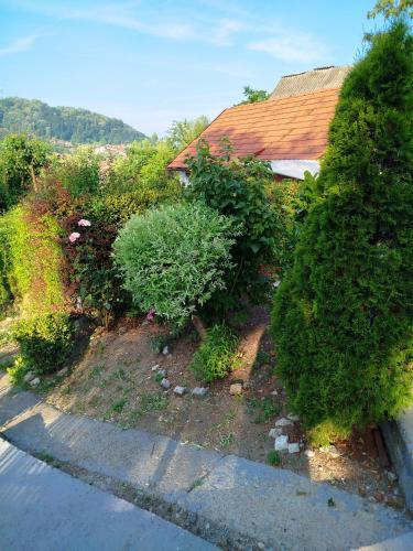 a house with bushes on the side of a road at Apartman Deni in Tuzla