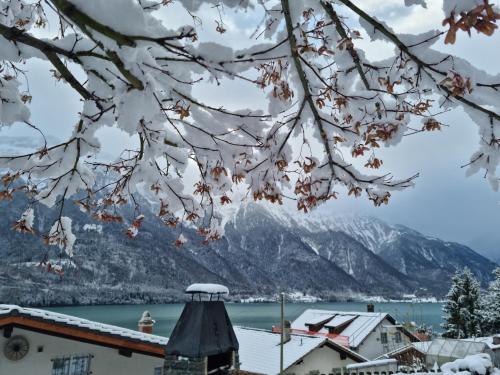 a snowy view of a lake and mountains at Chalet Swiss Alps in Niederried