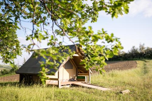 a small house in the middle of a field at Agriturismo Glamping Pettirosso in Fratta Terme