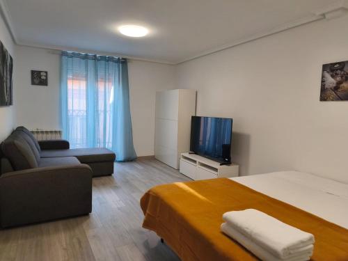 a bedroom with a bed and a couch and a television at Casa San Lorenzo in Burgos