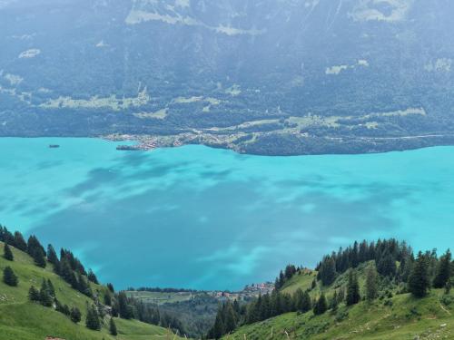 a view of a lake in the mountains at Chalet Swiss Alps in Niederried