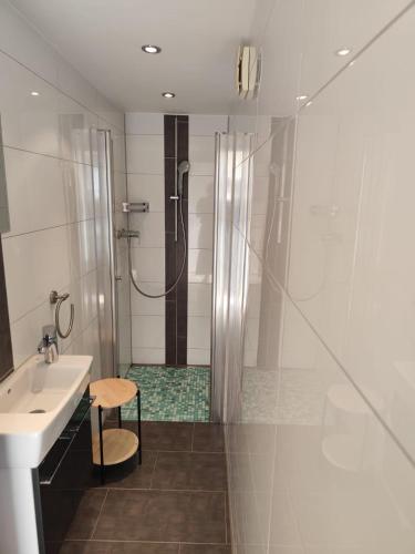 a bathroom with a shower and a sink and a toilet at Ferienwohnung Obsthof Lutz - nur Urlaubsgäste in Fisch