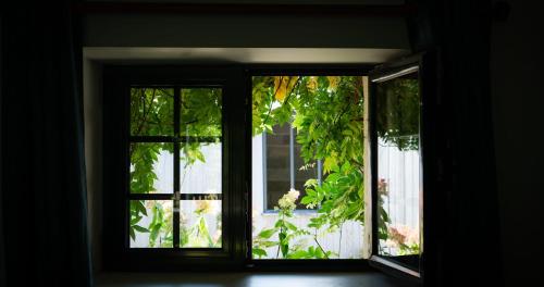 Billede fra billedgalleriet på Domaine Du Turbais i Luynes