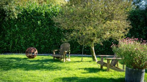 Billede fra billedgalleriet på Domaine Du Turbais i Luynes