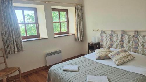 1 dormitorio con 1 cama con 2 almohadas y 2 ventanas en L'Oustalou - WIFI - Jardin - Campagne, en Villeneuve