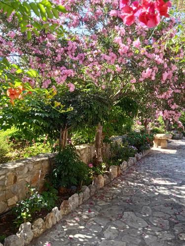 a tree with pink flowers in a garden at Alegria country house near portoheli in Foúrnoi