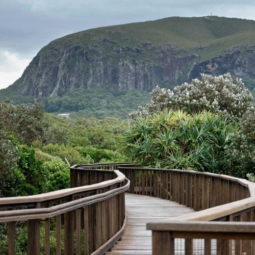 a wooden boardwalk with a mountain in the background at Seaside Luxury: Private Pool and Stunning Views in Yaroomba