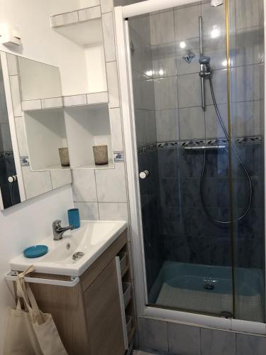 une salle de bain avec une douche et un lavabo et une perspective de douche dans l'établissement Studio 18m2 Le Beau Site en centre-ville, à Aix-les-Bains