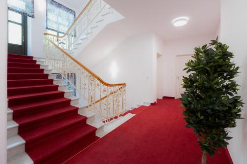 a staircase with a red carpet and two plants at Alpine Apartements Maximilian in Berchtesgaden