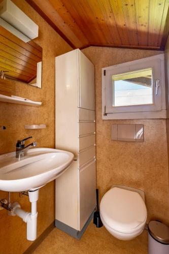 a small bathroom with a sink and a toilet at Chalet In The Countryside Kitchen Parking Lot in Spiez