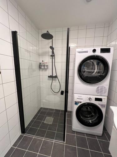 a bathroom with a washing machine and a washer at Notodden Sentrum Apartment NO 12 in Notodden