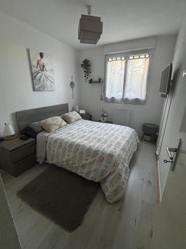 une chambre avec un grand lit et une fenêtre dans l'établissement Appartement T2 Le galant vert, à Aucamville