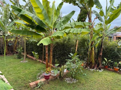 Jardí fora de Baraka Home