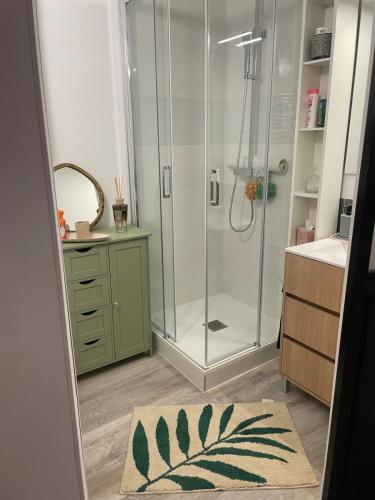 La salle de bains est pourvue d'une douche et d'un tapis. dans l'établissement Appartement T1 Bis, à Gragnague