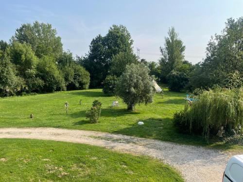 un jardin avec des arbres et un chemin de terre dans l'établissement Appartement T1 Bis, à Gragnague