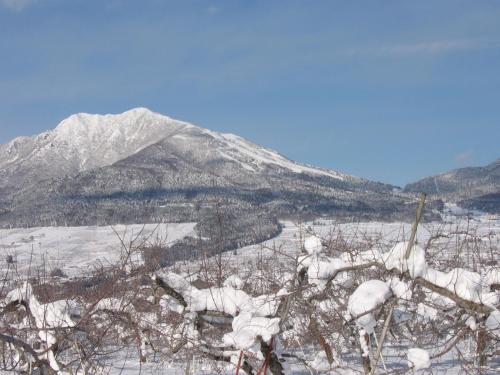 a snow covered hill with a mountain in the background at Yudanaka Yasuragi in Yamanouchi